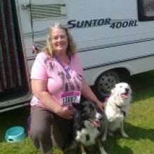 A descriptive alt text for the image.
