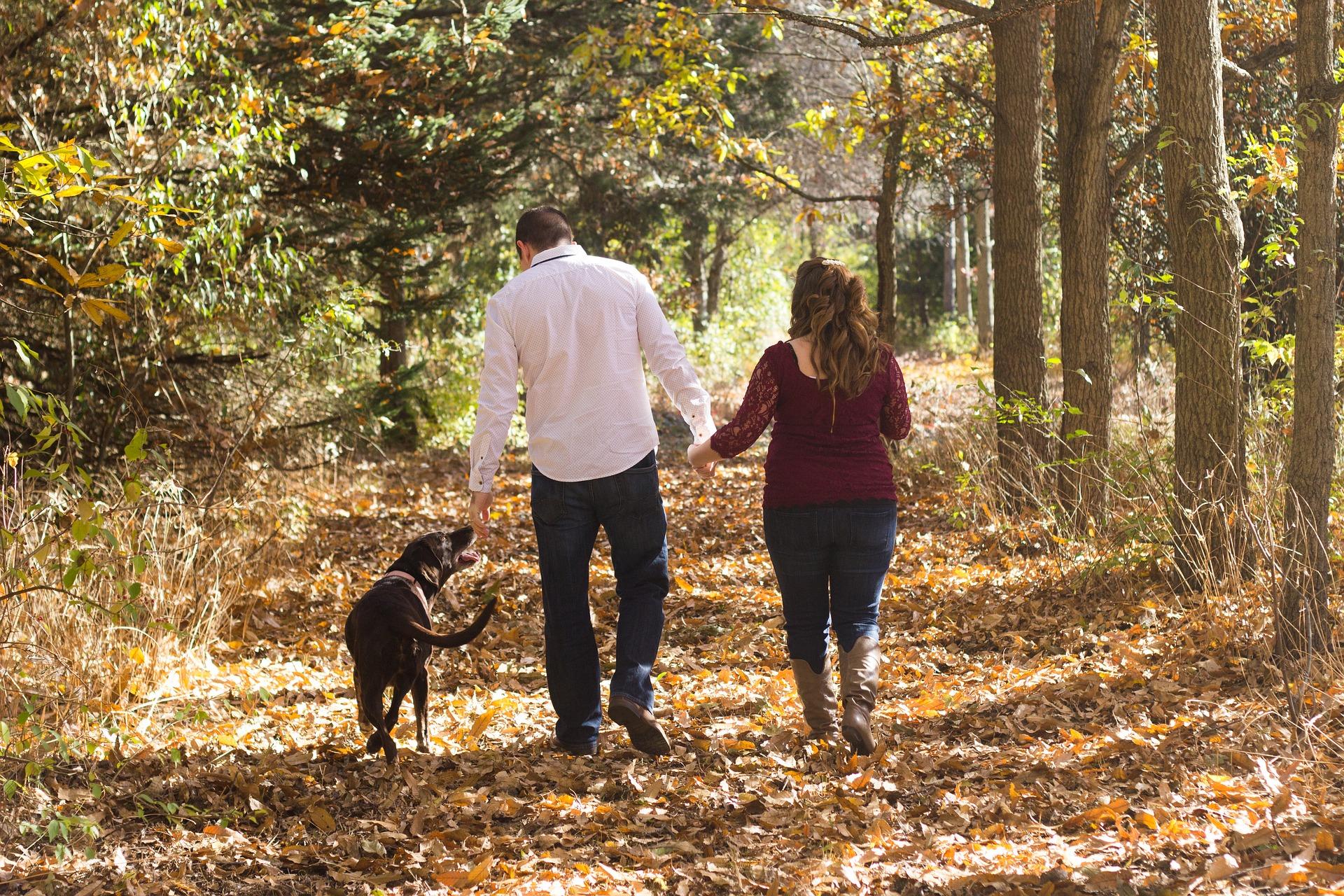 A man, woman and dog walking in the woods