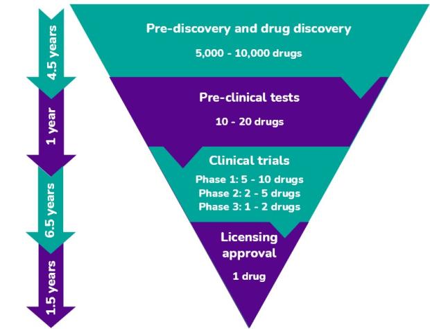 The drug development process image as a pyramid