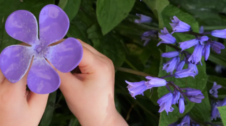 Forever Flower in small hands