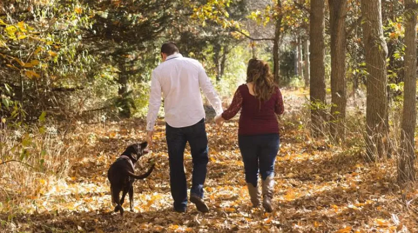A man and woman holding hands, walking their dog in the woods